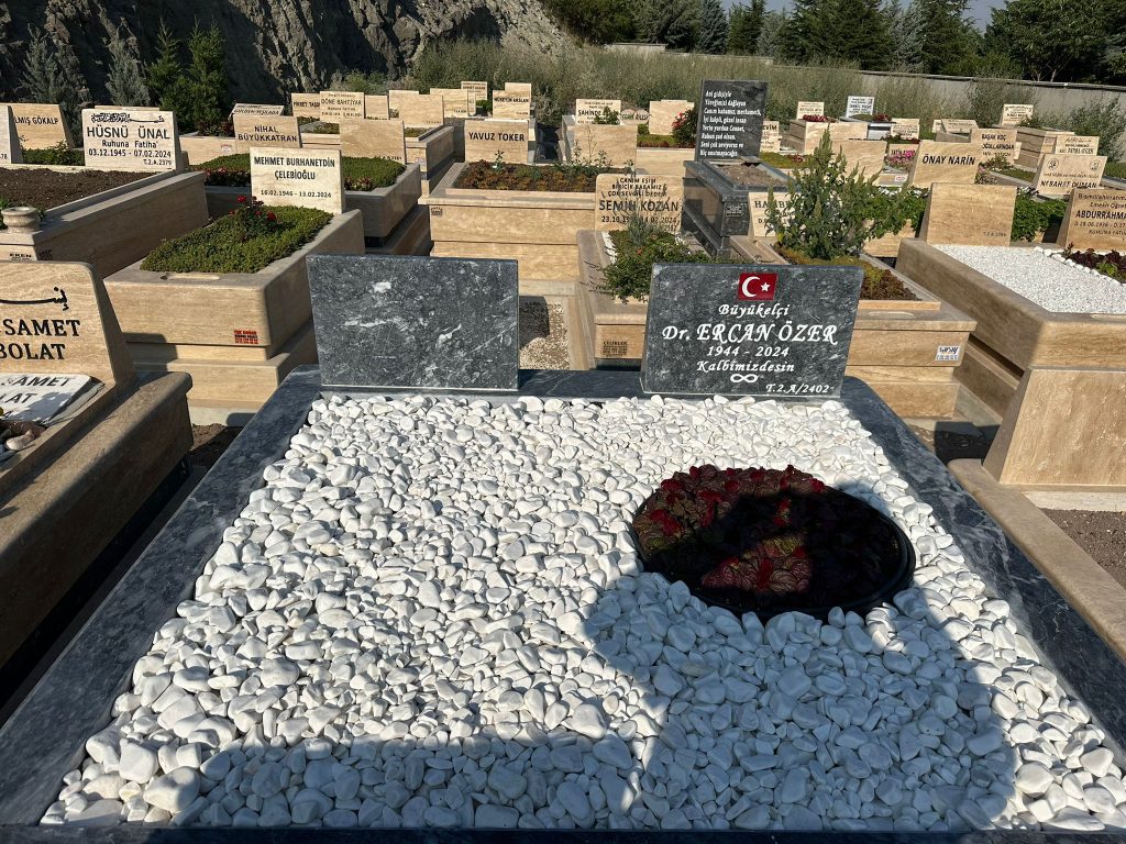 goktugmezar-01 (10) goktugmezar-01 (10)