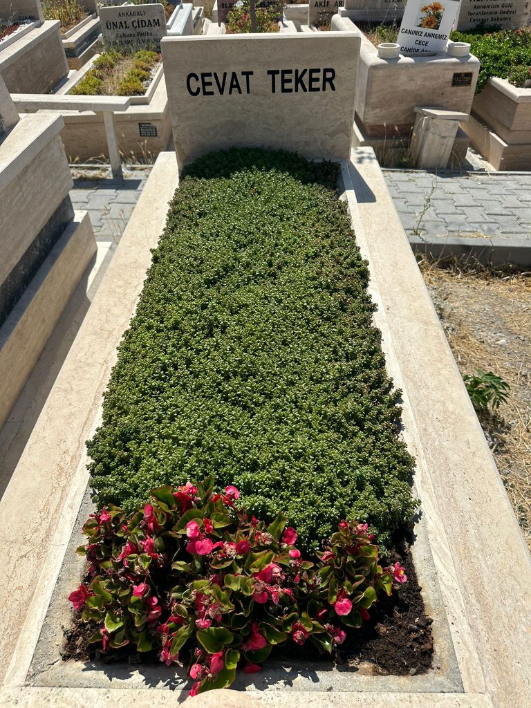 goktugmezar-01 (3) goktugmezar-01 (3)