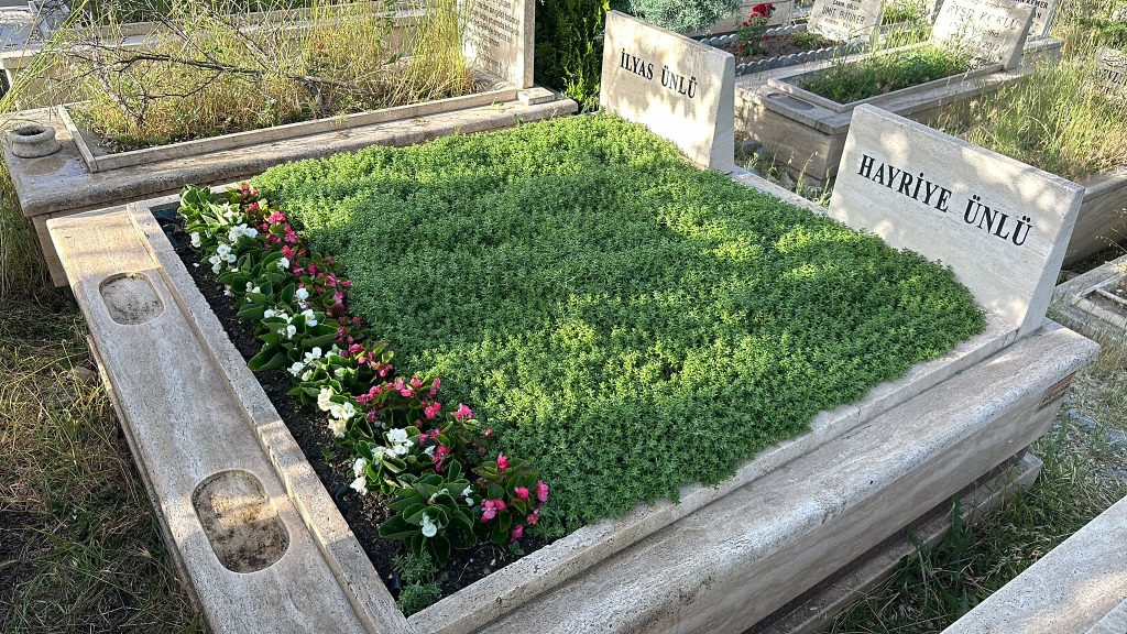 goktugmezar-01 (32) goktugmezar-01 (32)
