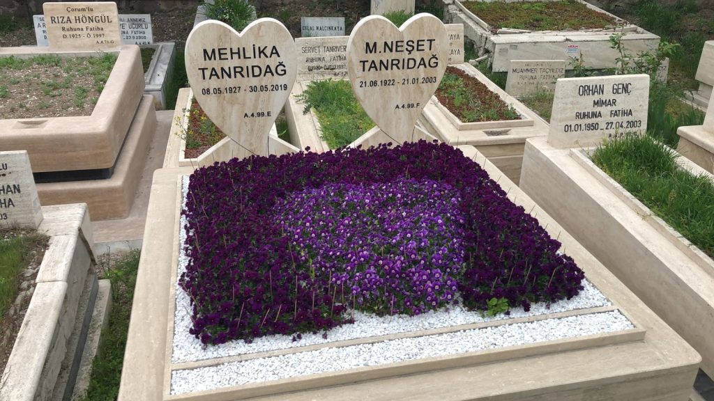 goktugmezar-01 (35) goktugmezar-01 (35)