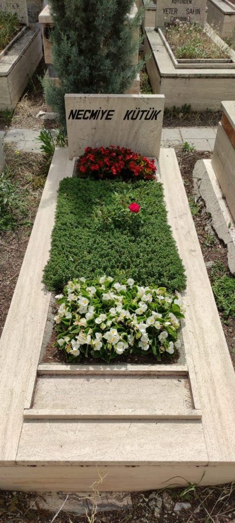 goktugmezar-01 (41) goktugmezar-01 (41)